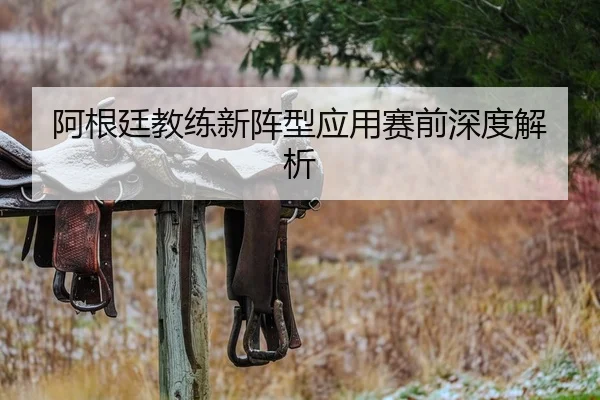 阿根廷教练新阵型应用赛前深度解析